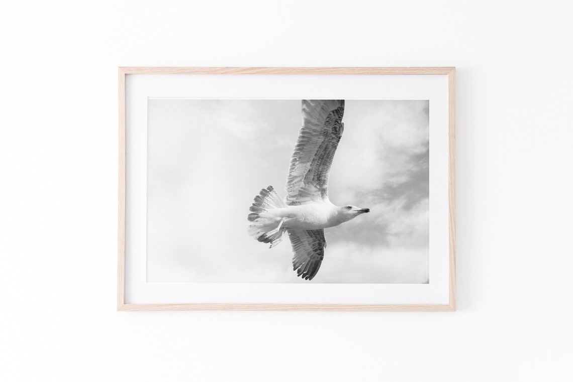 Flying Bird Print Black and White Photography Printable Wall | Etsy