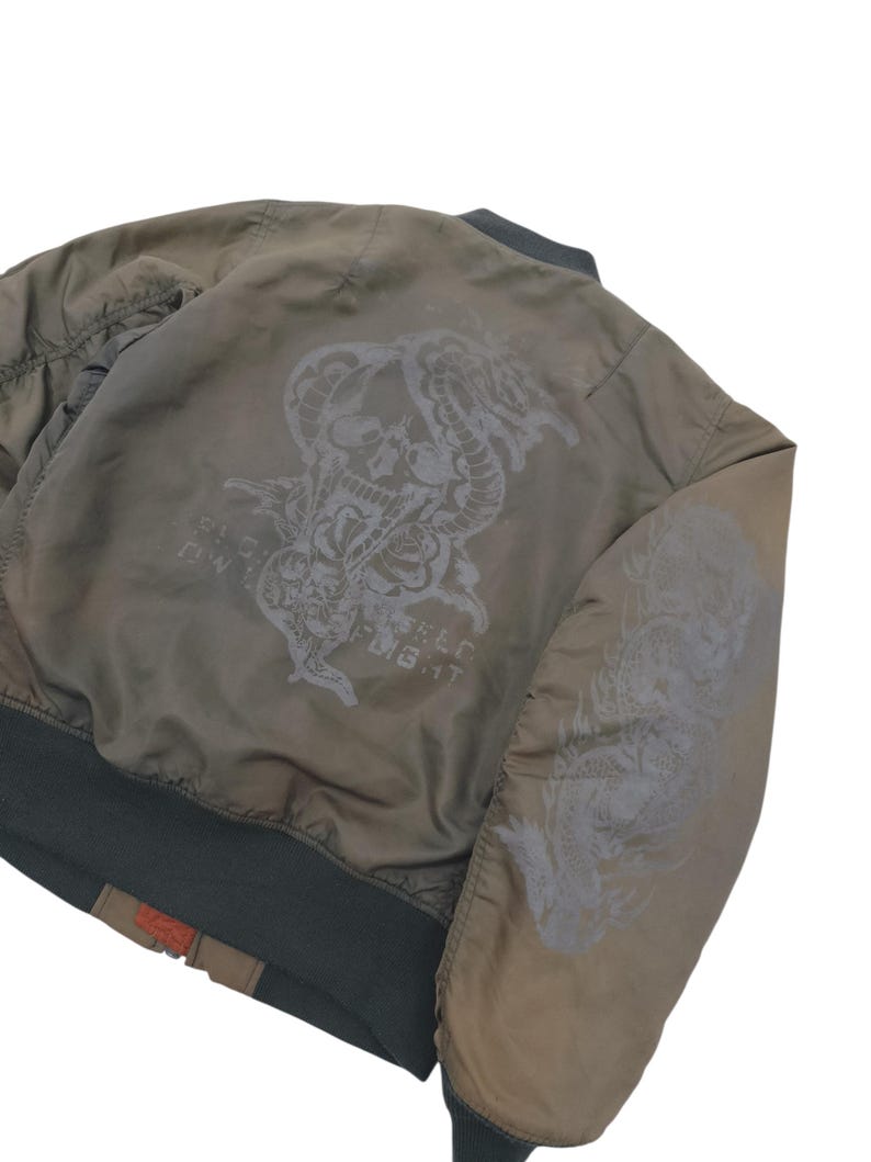 Puede incluir: Chaqueta bomber verde oliva con un dise&ntilde;o de calavera y serpiente gris oscuro en la espalda y un drag&oacute;n en la manga. La chaqueta tiene cuello, pu&ntilde;os y dobladillo de canal&eacute; verde oscuro. El texto "BIG WILD FLIGHT" es visible.