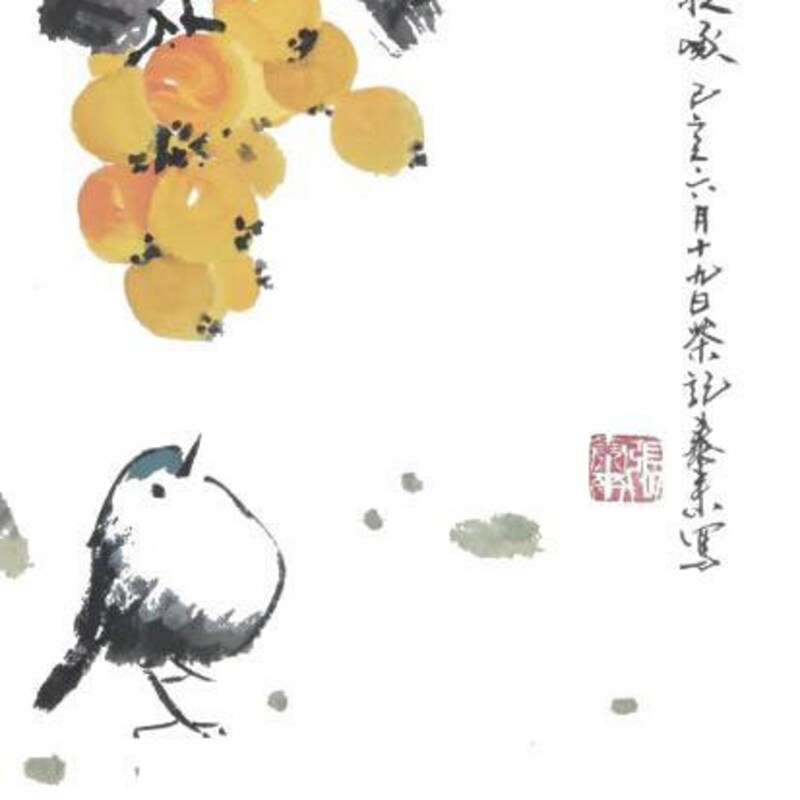 sumi traditional shawl