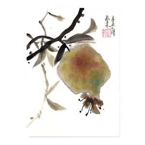 Pomegranate japanese Sumi-e chinese ink painting  home office decoration wall art printed