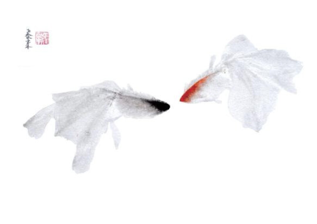 Postcard Goldfish Ink Painting Sumie Painting Chinese Japanese Art