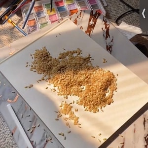 Custom Rice Map Art