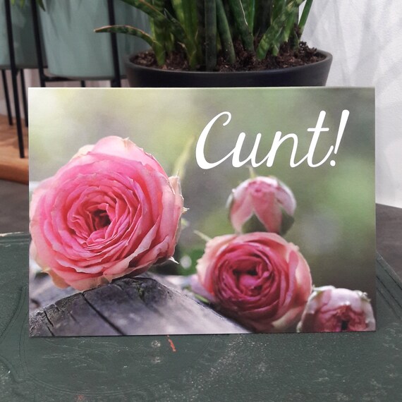 Télécharger gratuitement Images Rude Sweary Funny Card Offensive Profanity Adult Humour Etsy le plus cool par