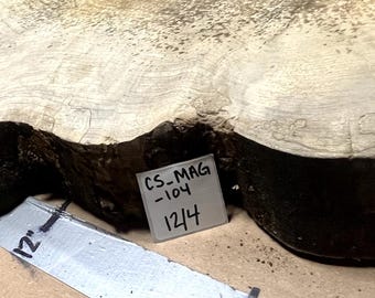 Magnolia Cookie Slab | 3" Thick | Kiln Dried And Flattened | Ships FREE | CSMAG104