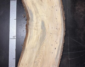 1.25" Silver Maple Slab | M_067
