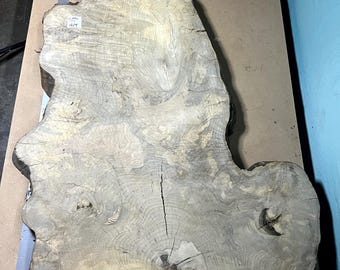 Magnolia Cookie Slab | 3" Thick | Kiln Dried And Flattened | Ships FREE | CSMAG102