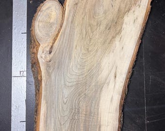 1.25" Silver Maple Slab | M_071