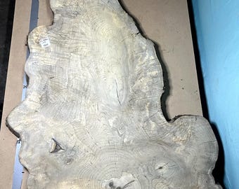 Magnolia Cookie Slab | 3" Thick | Kiln Dried And Flattened | Ships FREE | CSMAG103