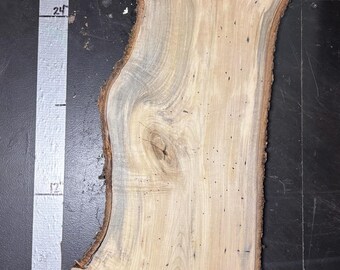 1" Silver Maple Slab | M_068