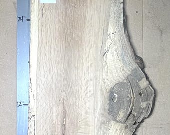 White Oak Live Edge Slab | 1.5" Thick | Kiln Dried And Flattened | Ships FREE | WO005