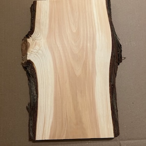 Atlantic White Cedar Live Edge Boards | Perfect for Making Cutting Boards, River Tables, and More | Ships Free