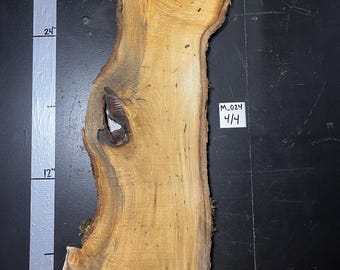 1" Thick Silver Maple Slab | M_24