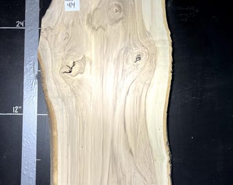 American Holly Live Edge Slab | 1" Thick | Kiln Dried And Flattened | Ships FREE | AH010