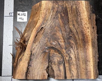 2.5" Black Walnut Slab | W_072