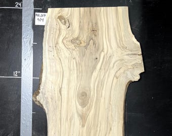 American Holly Live Edge Slab | 1.25" Thick | Kiln Dried And Flattened | Ships FREE | AH017