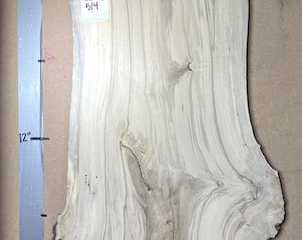 American Holly Live Edge Slab | 1.25" Thick | Kiln Dried And Flattened | Ships FREE | AH008