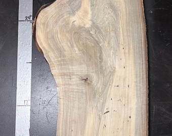 1" Silver Maple Slab | M_069