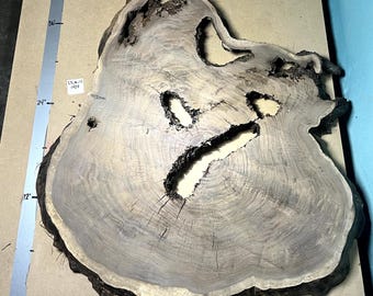 Black Walnut Cookie Slab | 3.5" Thick | Kiln Dried And Flattened | Ships FREE | CSW102