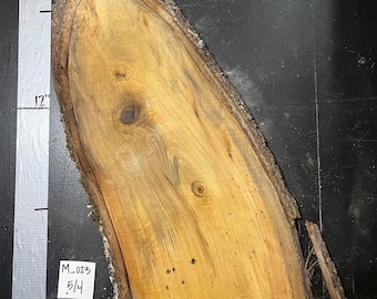 1.25" Thick Maple Slab | M_023