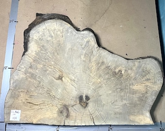 Magnolia Cookie Slab | 2.75" Thick | Kiln Dried And Flattened | Ships FREE | CSMAG101