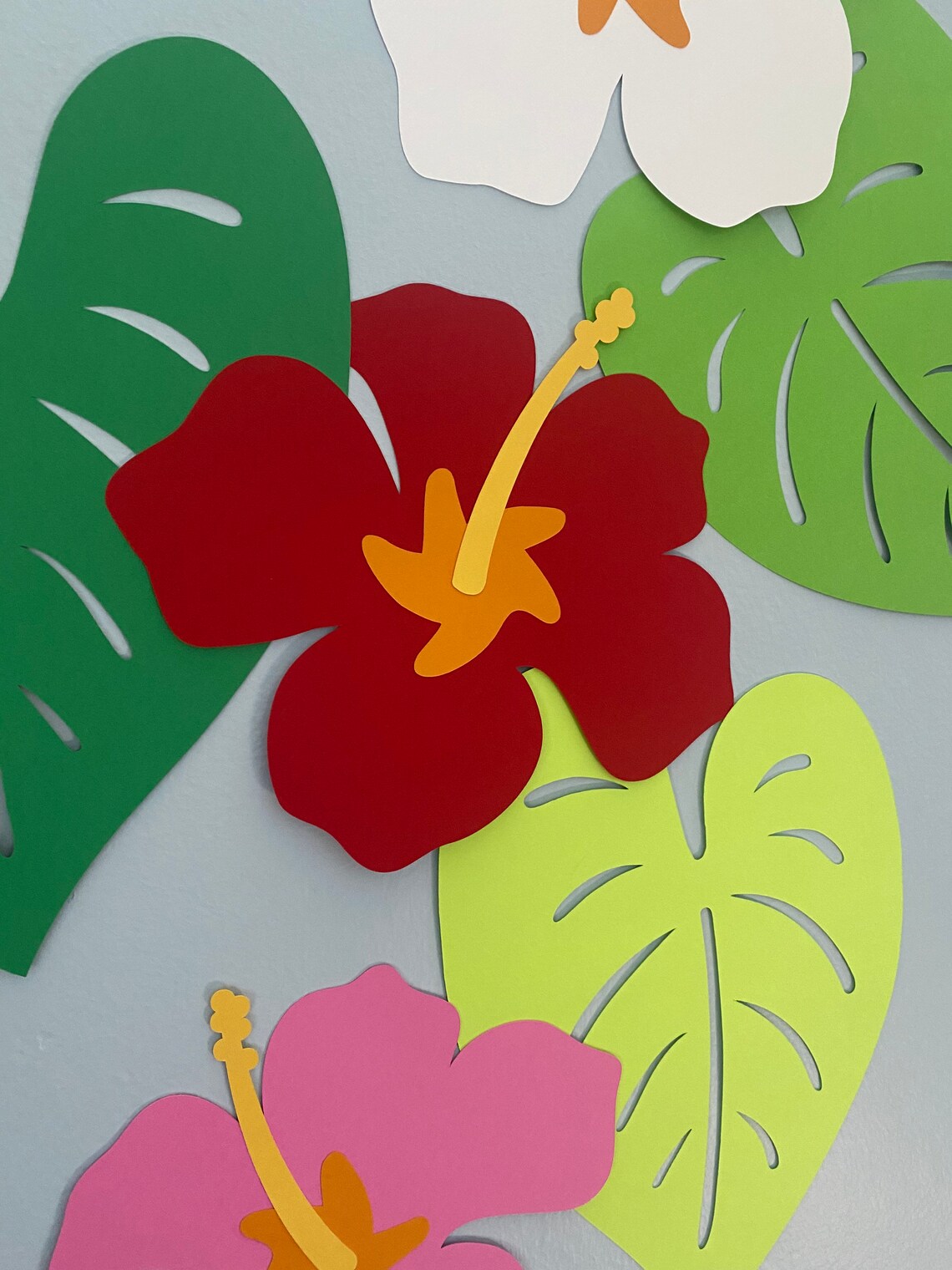 Hibiscus leaf texture picture