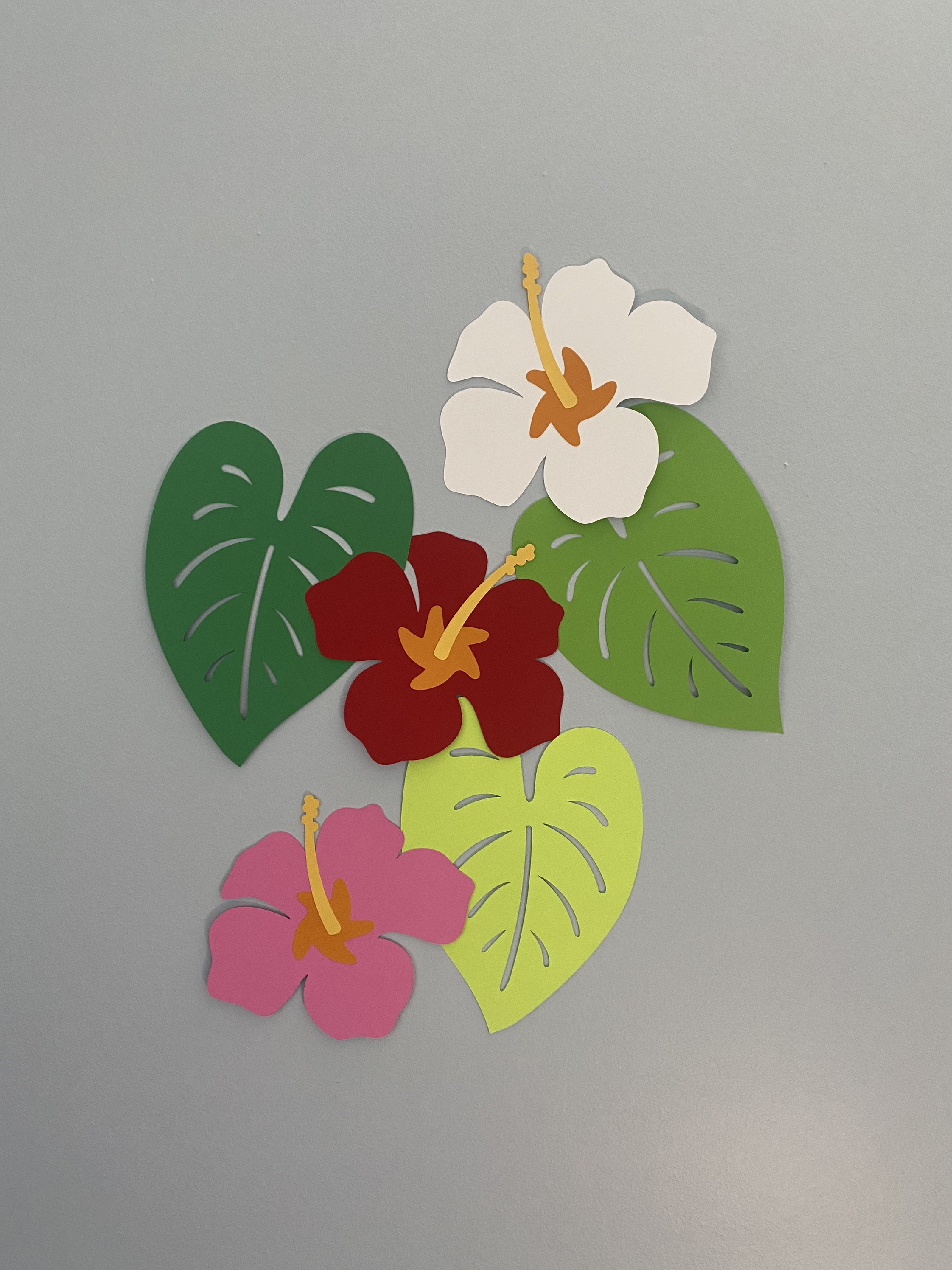 Hibiscus leaves essay picture