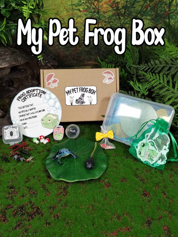 My Pet Frog Box Adopt Pocket Pet Frog Mystery Box W/ Adoption Certificate  Cage and Food Deskpet 