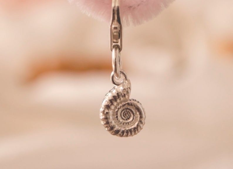 Pode incluir: Um amuleto de prata em forma de concha de nautilus. O amuleto est&aacute; preso a uma corrente de prata.