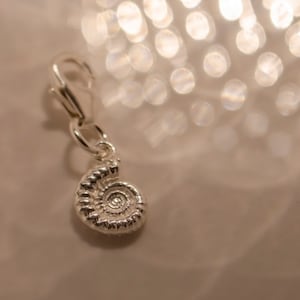 Pode incluir: Encanto de prata em forma de concha de nautilus. O encanto tem um la&ccedil;o na parte superior para prender a um colar ou pulseira.
