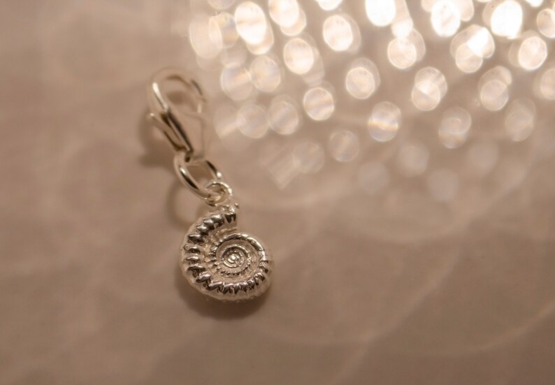 Pode incluir: Encanto de prata em forma de concha de nautilus. O encanto tem um la&ccedil;o na parte superior para prender a um colar ou pulseira.
