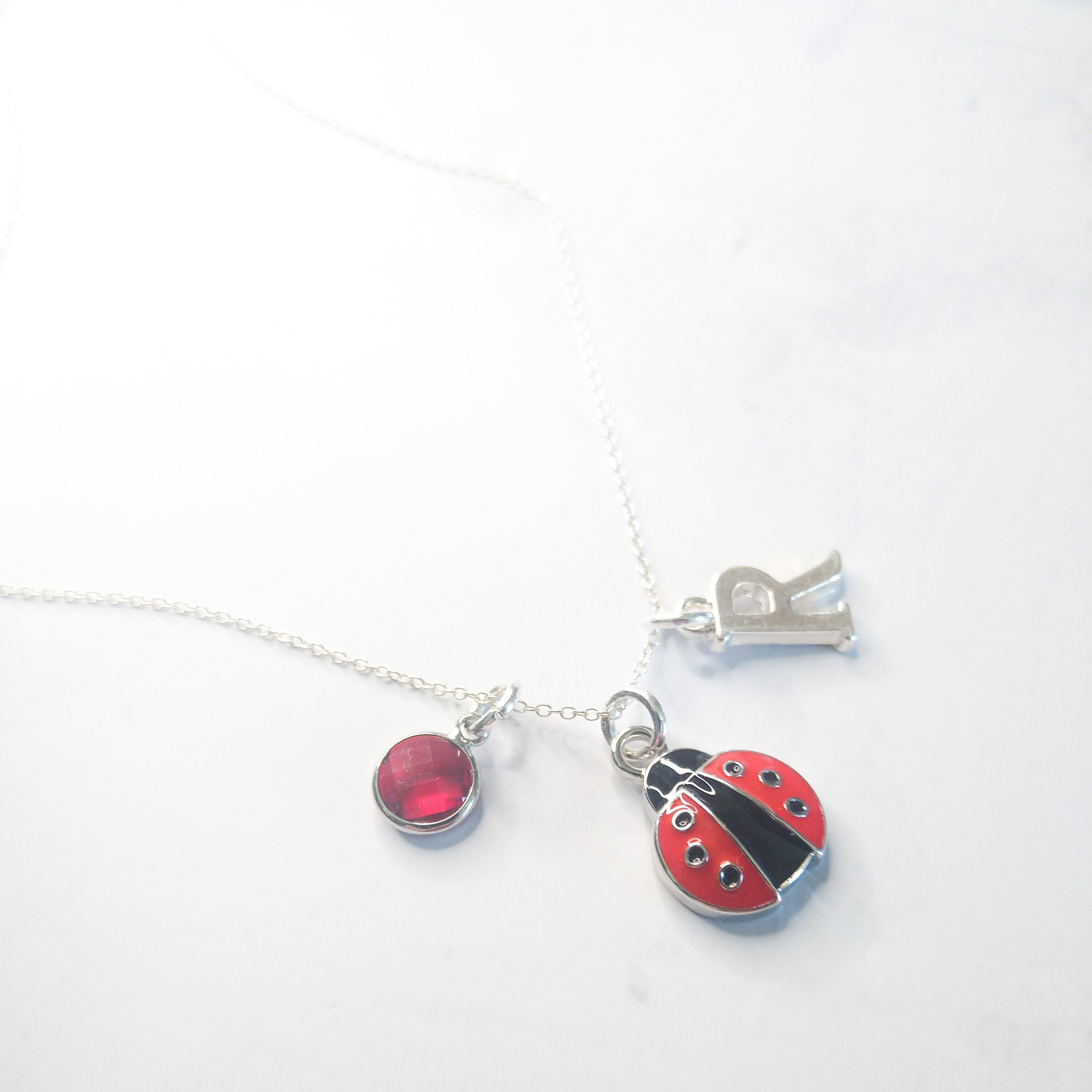 Ladybird Necklace Lady Bug Jewellery Personalised Gifts Etsy UK