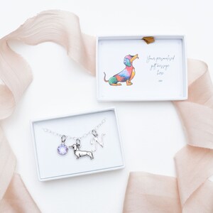 Puede incluir: Un collar de plata con un dije de un dachshund, una piedra preciosa púrpura y una letra N. El collar está en una caja blanca con fondo blanco. La caja tiene un compartimento separado con una ilustración colorida de un dachshund y el texto "Tu mensaje de regalo personalizado aquí xxx".