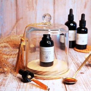 LION'S MANE Liquid Extract | Alcohol-Free 15:1 Potency, Hericium Erinaceus Sustainably Harvested Lions Mane, Mushroom Double Extract ORGANIC