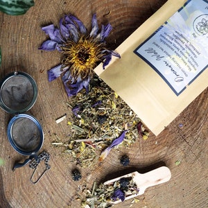 DREAM WELL Tea | Lucid Dreaming Herbal Tea, Astral Projection | Blue Lotus Calea Mugwort Damiana, Dream Herb Tea, Psychonaut Spiritual Gift