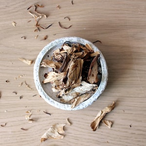 White Lotus Petals: Nymphaea Ampla, Loose Leaf Tea Herb
