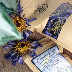 Lucid Dreaming Herbal Tea | DREAM WELL Tea, Astral Projection | Blue Lotus Calea Mugwort Damiana, Dream Herb Tea, Psychonaut Spiritual Gift