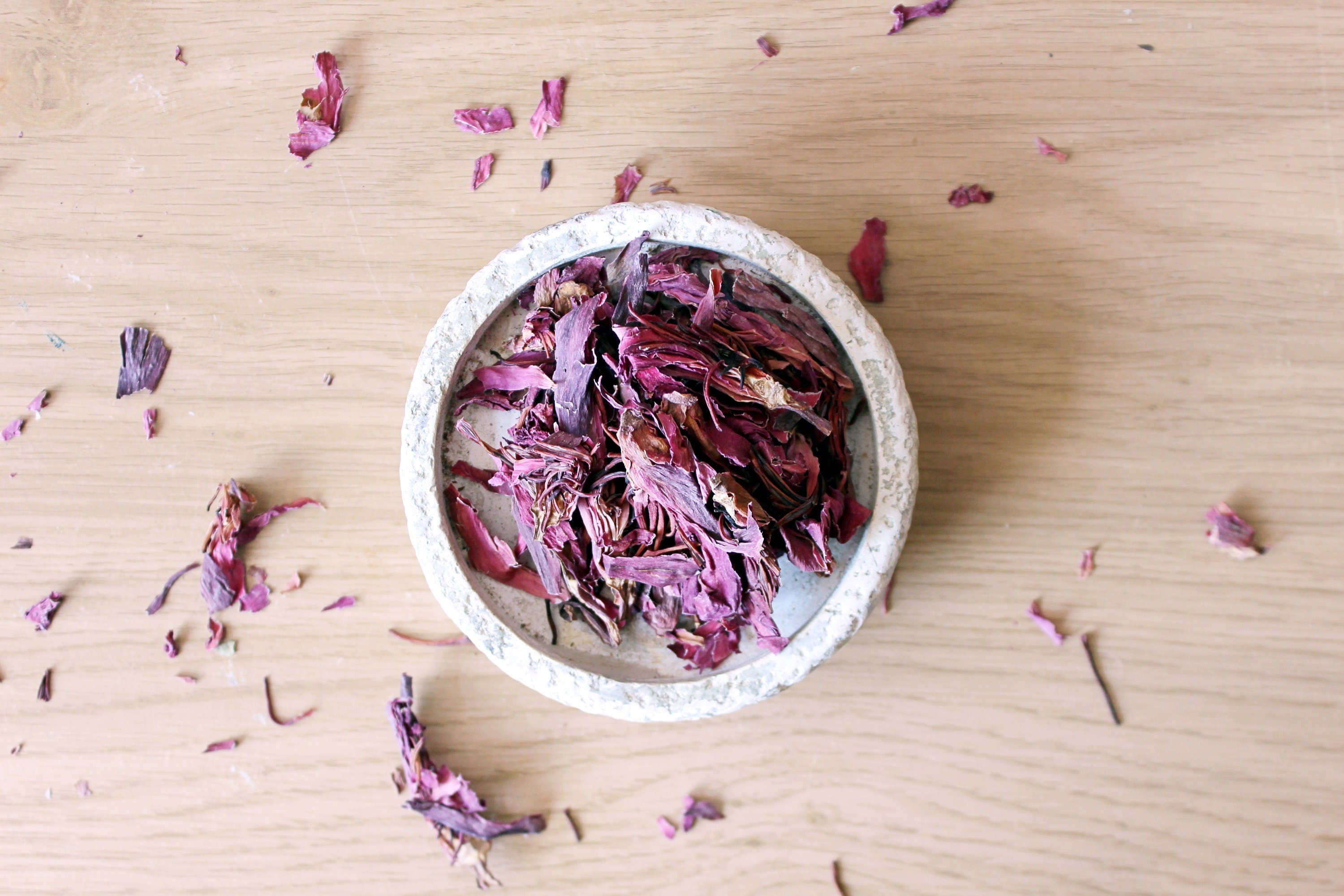 Witch herb cabinet - Etsy 日本 Witch herb cabinet - Etsy 日本