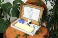 Handpoke Tattoo Kit | SMALL, COMPLETE Stick Poking DIY Tattooing Kit, Starter Pack, Natural Non Toxic, Beginner Box, Vegan Cruelty Free product logo