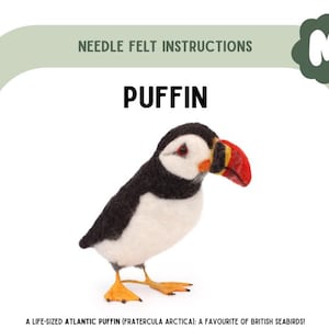 Instrucciones para Puffin (PDF)