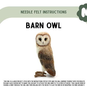New and Improved - Large Barn Owl Instructions PDF