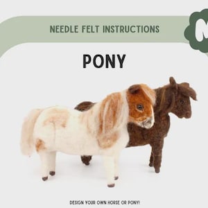 PDF Instructions Needle Felted Pony
