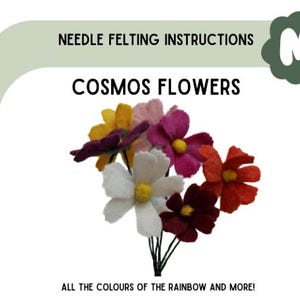 Istruzioni per la coltivazione dei fiori di cosmo (PDF)