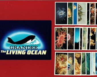 THE LIVING OCEAN - Vintage Cigarette Tobacco Card Set & Original Collectors Album - 1985 Players GrandeeSet - Fish. Whales. Seahorse  (OS01)