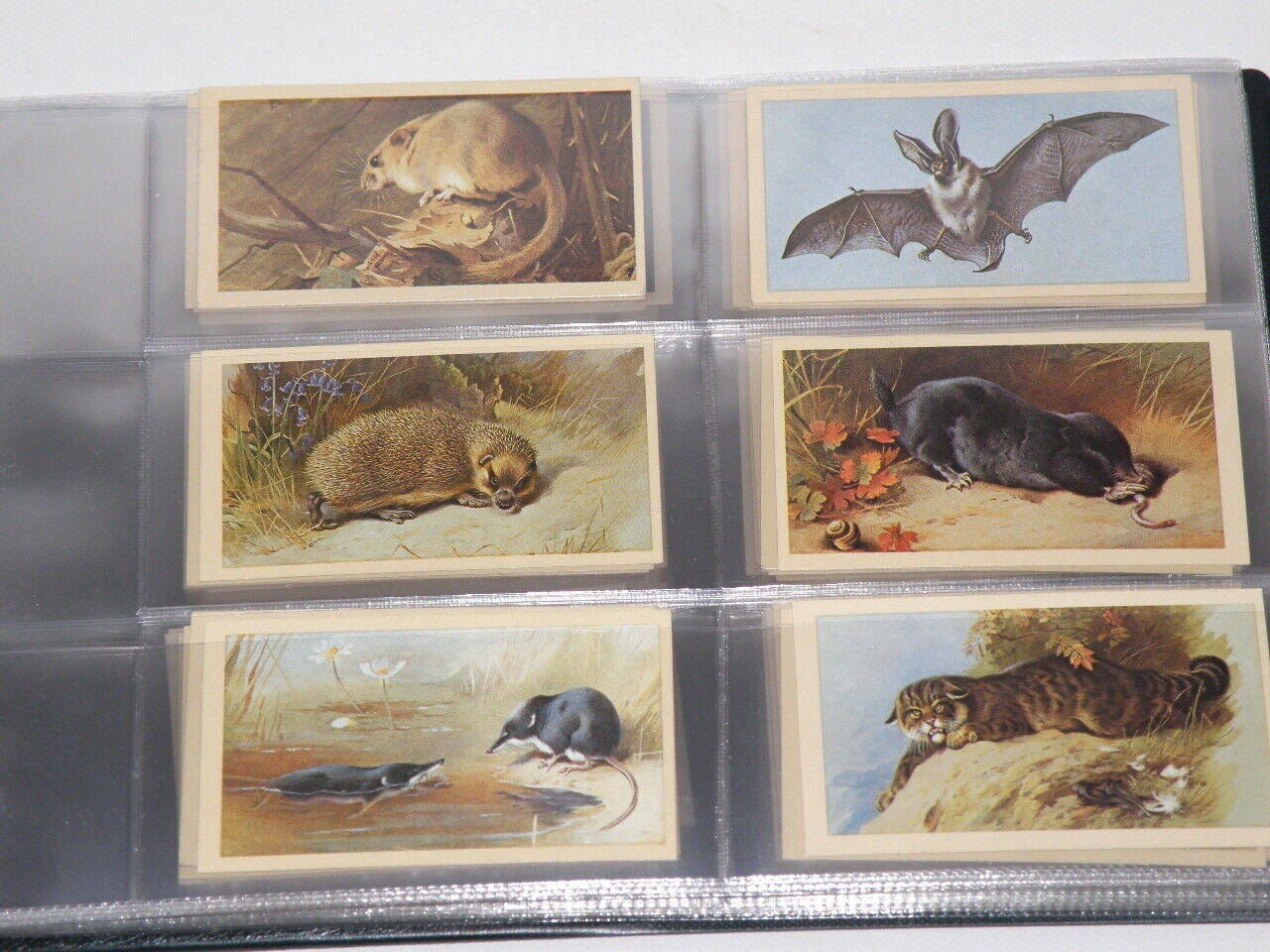 CIGARETTE TOBACCO CARDS Collection 10x Cigarette Card Sets in