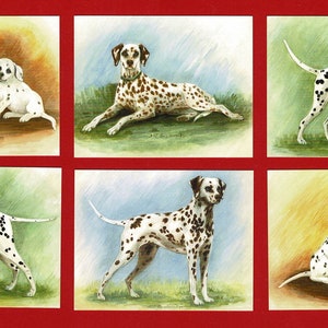 DALMATION DOG CARDS - Originele 1999 Imperial Dog Collection Card Set - 6 verschillende kaarten - Hondenliefhebbers Hondeneigenaren Cadeau (OS01)