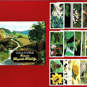 BRITAIN'S WAYSIDE WILDLIFE - Vintage sigaretten- / tabakskaartenset & origineel verzamelalbum - 1988 John Players Grandee Cigars (SU11)