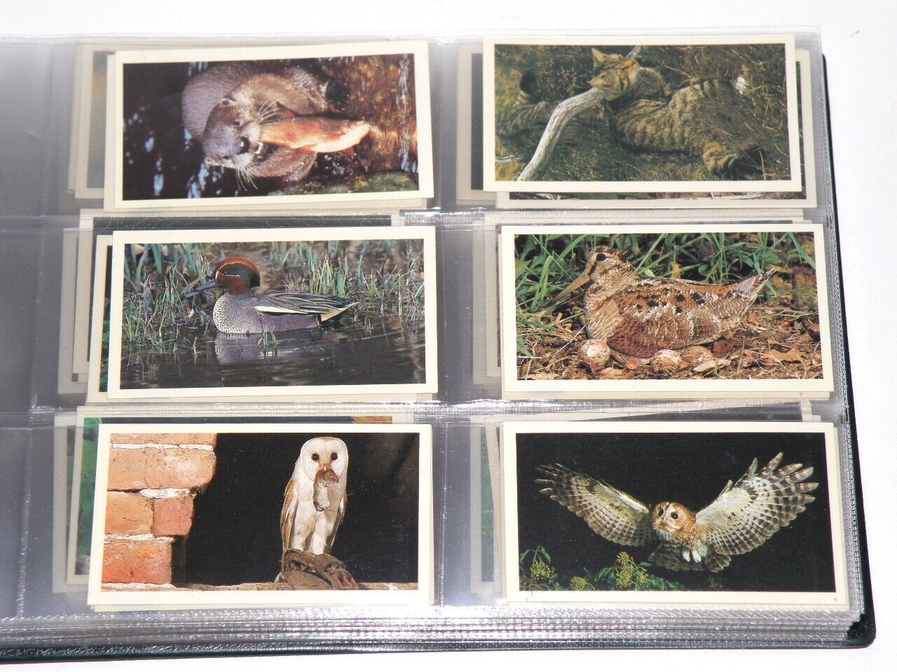 CIGARETTE CARD BINDER 10x Cigarette Tobacco Card Sets in Etsy