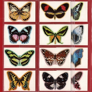 1974 PRACHTIGE VLINDERS - Originele snoepgoedhandelkaartenset - TONIBELL Ice Cream Card Set - Uitgesneden kaarten - Kaarten voor ambacht (OS01)