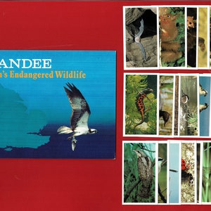 BRITAIN'S BEDREIGDE WILDLIFE - Vintage originele 1984 sigaretten- / tabakskaartenset & verzamelaarsalbum - John Players Grandee sigaren (SU11)