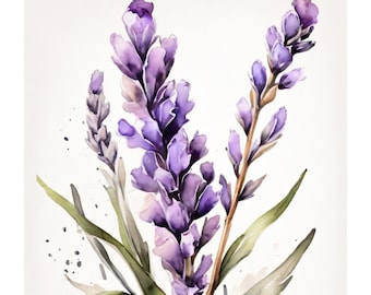 Lavanda em estilo aquarela | Download digital | Aquarela de flores | Ilustração abstrata | Para quem gosta de fazer você mesmo | Motivo de aquarela | Ideia para presente